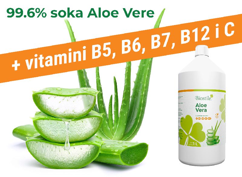 Aloe Vera 13 Aloe vera