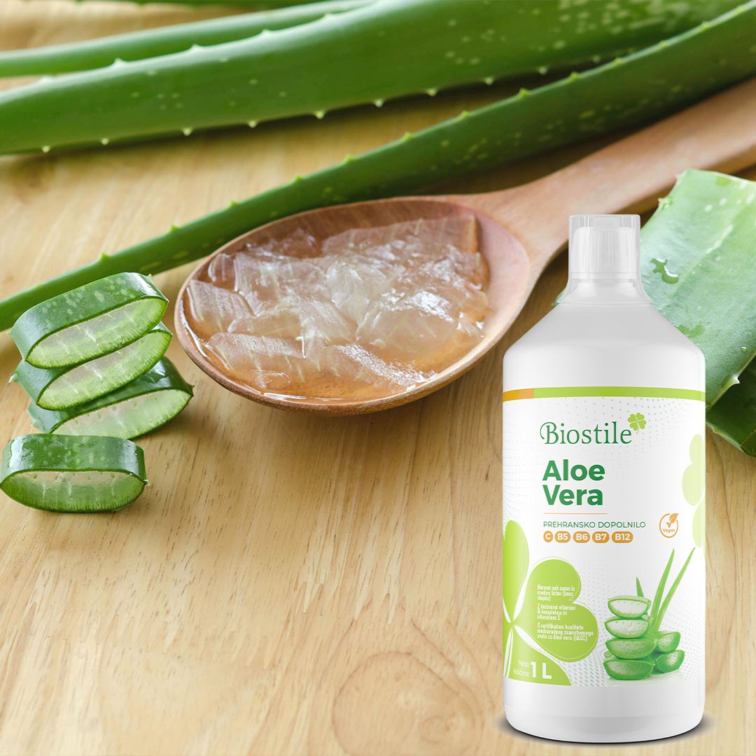 Aloe Vera 12 aloe vera 1