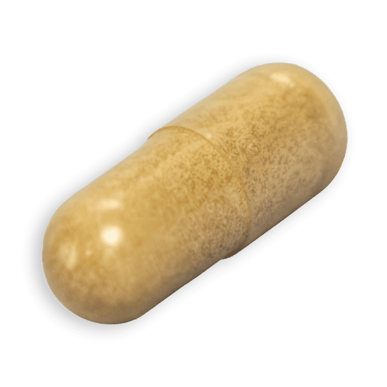 ChatGPT Image 29. окт 2025. 01 03 13 1