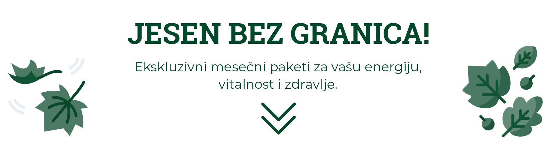 hero baner 1 RS